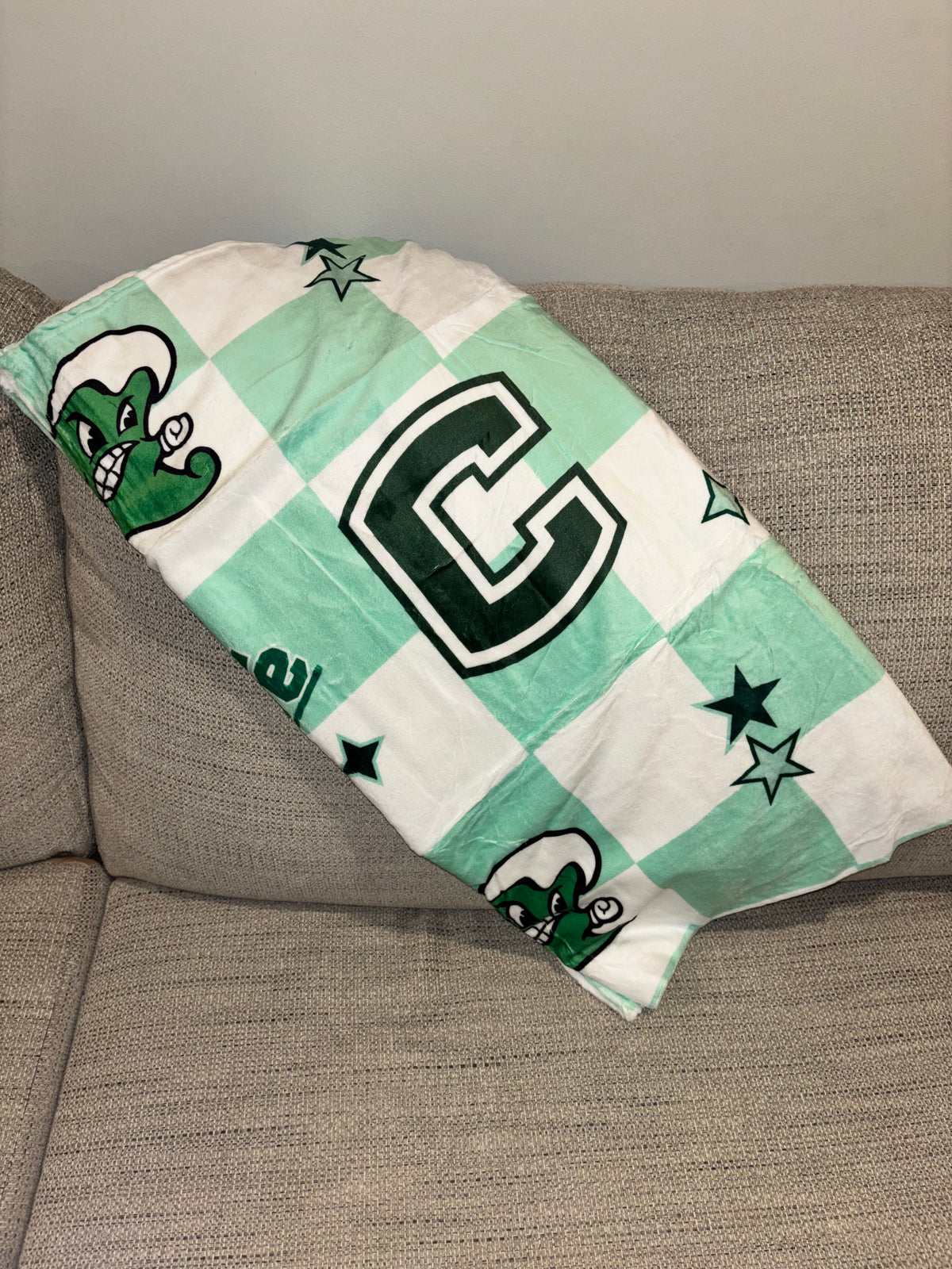 Cathedral Fleece Throw Blanket - READY TO SHIP/PICKUP
