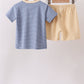 Blue stripe truck embroidery shorts set