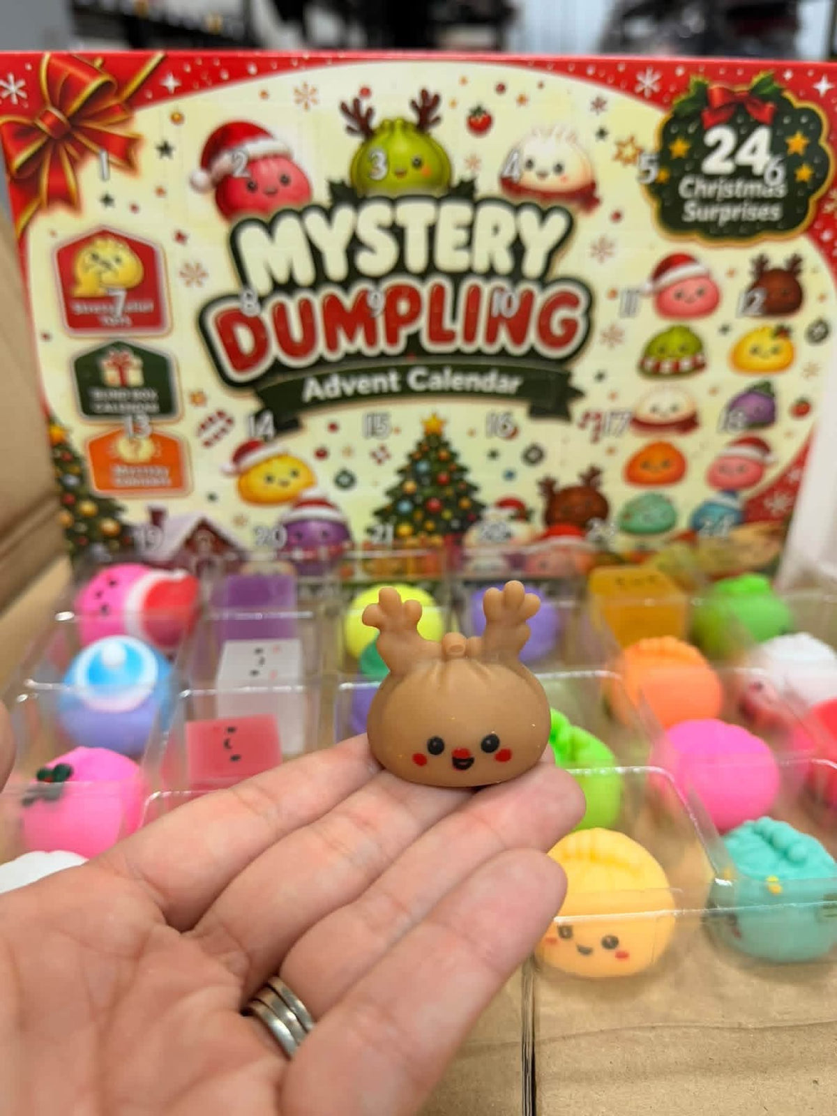 24 Day Mini Dumpling Advent Calendar | ETA Mid November